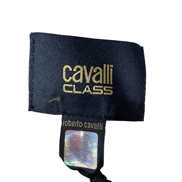 Roberto‎ Cavalli Class Tess Fringed Snake Dress Size 44 / US 8 - Picture 9 of 13